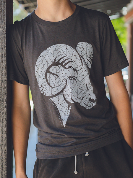 Triblend Tee - Bighorn