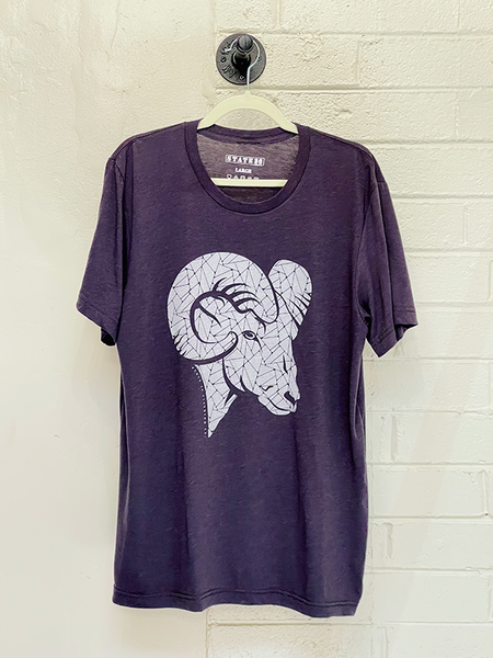 Triblend Tee - Bighorn