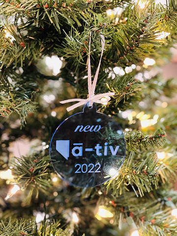 New Native Ornament - Blue 2022