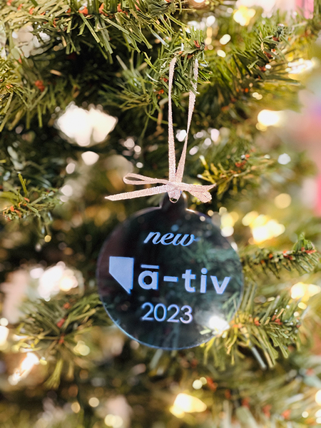 New Native Ornament - Blue 2023