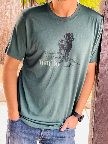 Triblend Tee - Bighorn